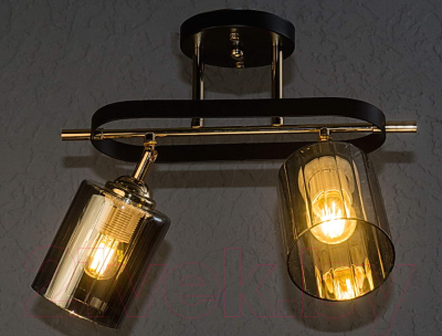 Потолочный светильник Aitin-Pro НПБ 02-2x60-101 / N5282/2 (кофе/золото)