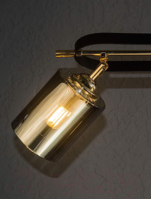 Потолочный светильник Aitin-Pro НПБ 02-2x60-101 / N5282/2 (кофе/золото)