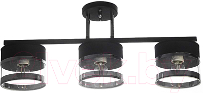 Потолочный светильник Aitin-Pro НПБ 02-3x40-101 / N5395/3 (черный/хром) - фото