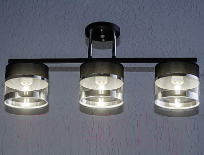 Потолочный светильник Aitin-Pro НПБ 02-3x40-101 / N5395/3 (черный/хром)