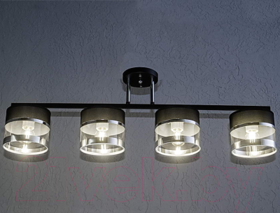 Потолочный светильник Aitin-Pro НПБ 02-4x40-101 / N5395/4 (черный/хром)