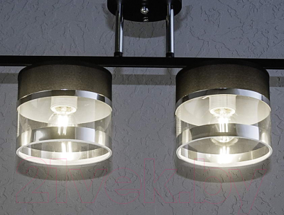 Потолочный светильник Aitin-Pro НПБ 02-4x40-101 / N5395/4 (черный/хром)