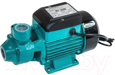 Поверхностный насос GreenPump WZ 250 В - фото