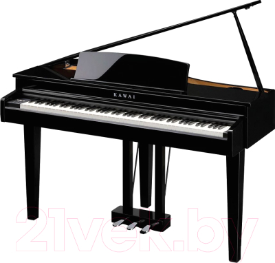 Цифровой рояль Kawai DG30 EP - фото