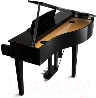 Цифровой рояль Kawai DG30 EP
