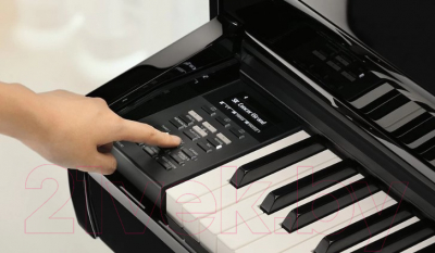 Цифровой рояль Kawai DG30 EP