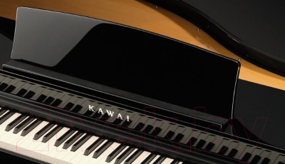 Цифровой рояль Kawai DG30 EP