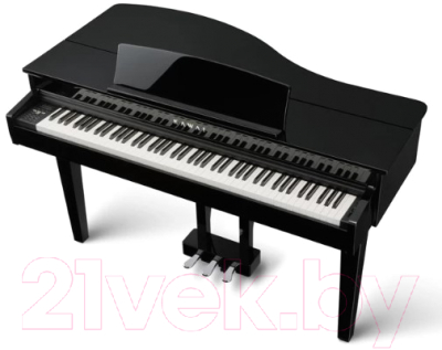 Цифровой рояль Kawai DG30 EP