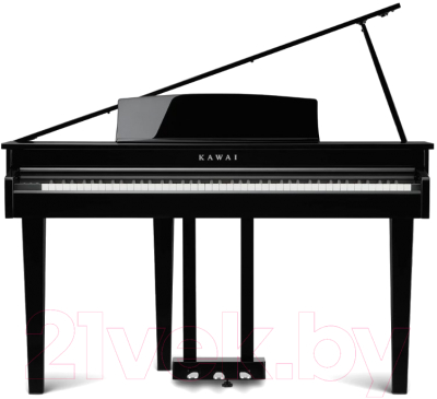 Цифровой рояль Kawai DG30 EP