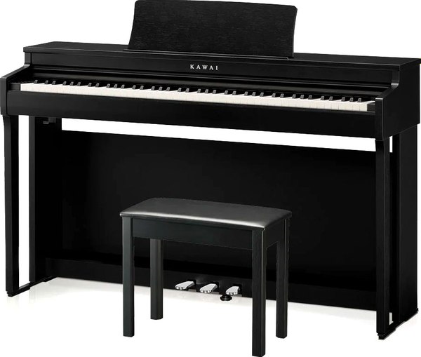 Цифровое фортепиано Kawai CN201 PSB - фото