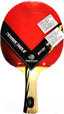 Ракетка для настольного тенниса ZEZ Sport CY-SS6 - фото
