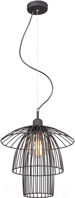 Потолочный светильник Vitaluce V4984-1/1S - фото