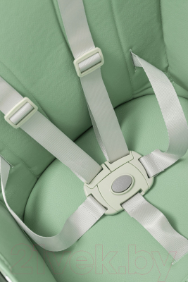 Стульчик для кормления NINO Lark