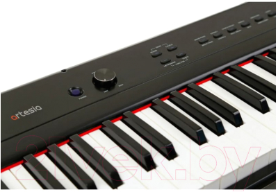 Цифровое фортепиано Artesia Performer (черный)