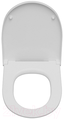 Сиденье для унитаза Roca Meridian ZRU9307606