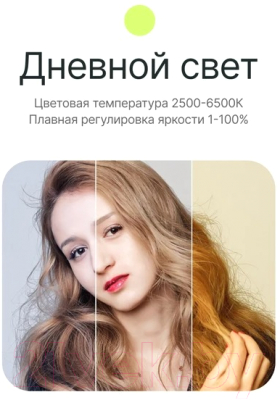 Осветитель студийный RayLab RL-40BI 