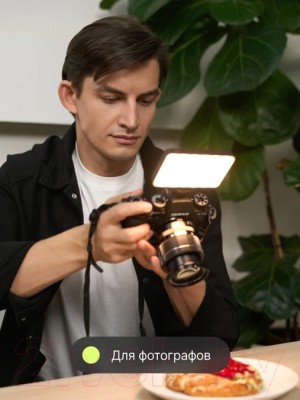 Осветитель студийный RayLab RL-LED08BI-2 