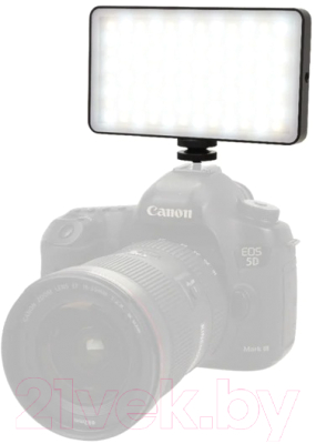 Осветитель студийный RayLab RL-LED12BI 