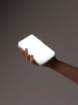 Осветитель студийный RayLab RL-LED12BI 