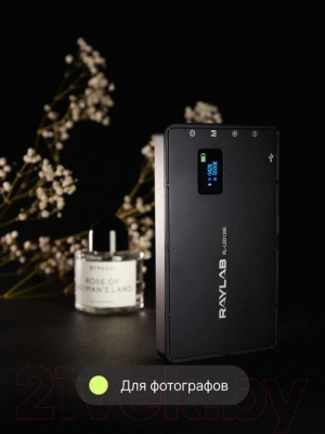 Осветитель студийный RayLab RL-LED12BI 