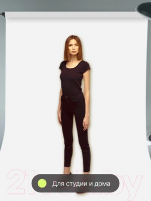 Подъемник фона RayLab RL-BS-D2 