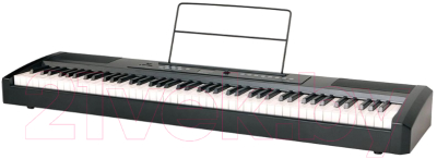 Цифровое фортепиано Ringway RP-25