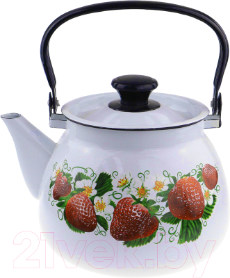 Чайник КМЗ 42115-123/6-У4 с рисунком - фото