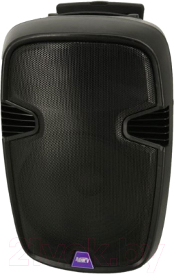 Портативная акустика Acury AS-15T - фото