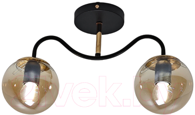 Потолочный светильник Mirastyle MH-1540B/2 BK+FGD - фото