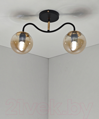 Потолочный светильник Mirastyle MH-1540B/2 BK+FGD