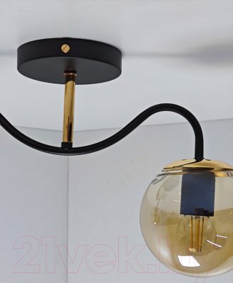 Потолочный светильник Mirastyle MH-1540B/2 BK+FGD