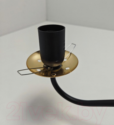 Потолочный светильник Mirastyle MH-1540B/2 BK+FGD