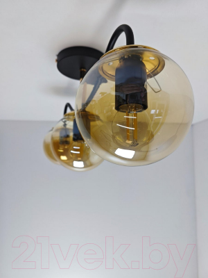 Потолочный светильник Mirastyle MH-1540B/3 BK+FGD