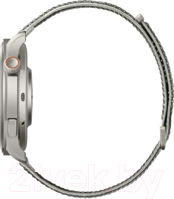 Умные часы Amazfit Balance / A2287 (серый)