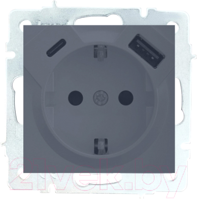 Розетка Lezard Vesna 742-3488-181TC - фото