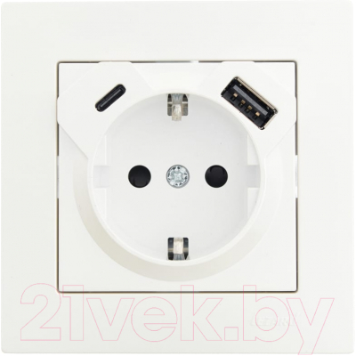 Розетка Lezard Vesna 742-3088-181TC