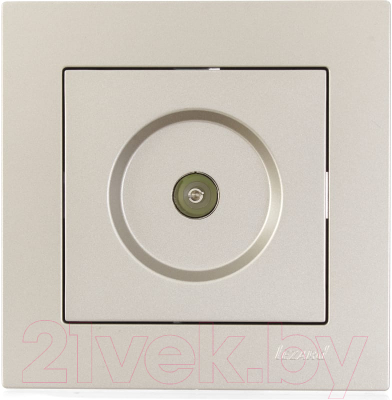 Розетка Lezard Vesna 742-3788-130