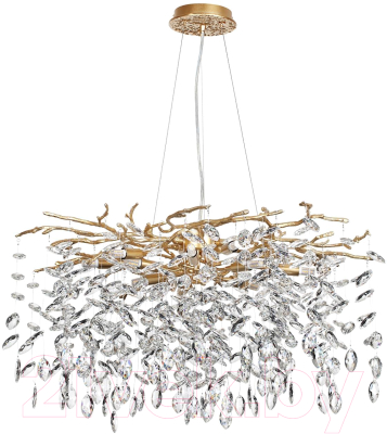 Люстра Odeon Light Delica 4969/10 - фото