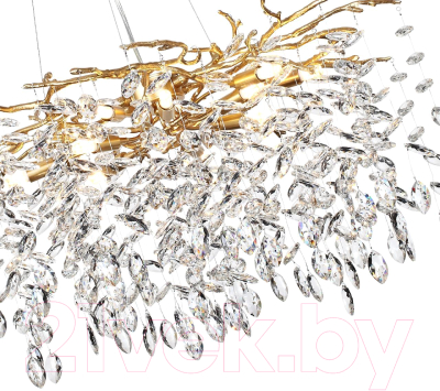 Люстра Odeon Light Delica 4969/10