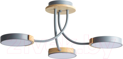 Люстра Lumion Arley 5655/54CL - фото