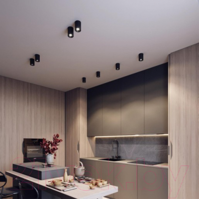 Точечный светильник Odeon Light Redo 6619/10CL