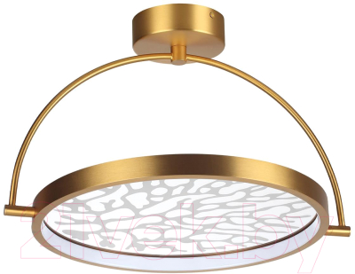 Потолочный светильник Odeon Light Solaris 6627/36CL - фото