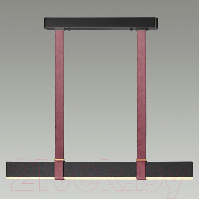 Потолочный светильник Odeon Light Vincent 6629/25L