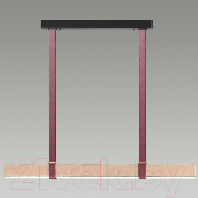 Потолочный светильник Odeon Light Vincent 6630/36L