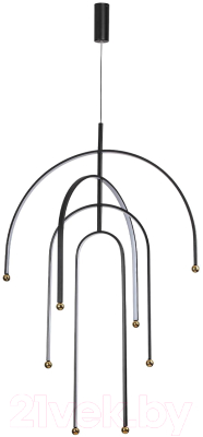 Потолочный светильник Odeon Light Memfi 6633/95L - фото