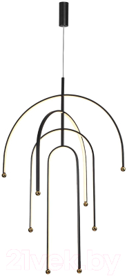 Потолочный светильник Odeon Light Memfi 6633/95L