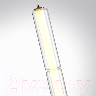 Потолочный светильник Odeon Light Fau 6688/19L