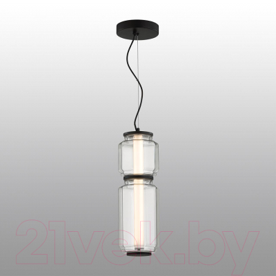 Потолочный светильник Odeon Light Jam 5409/20L