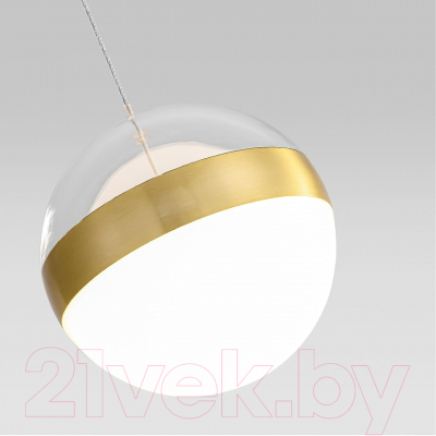 Потолочный светильник Odeon Light Roni 5036/12L