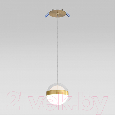 Потолочный светильник Odeon Light Roni 5036/12L